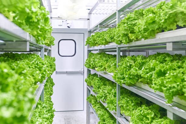 Controlled environment agriculture